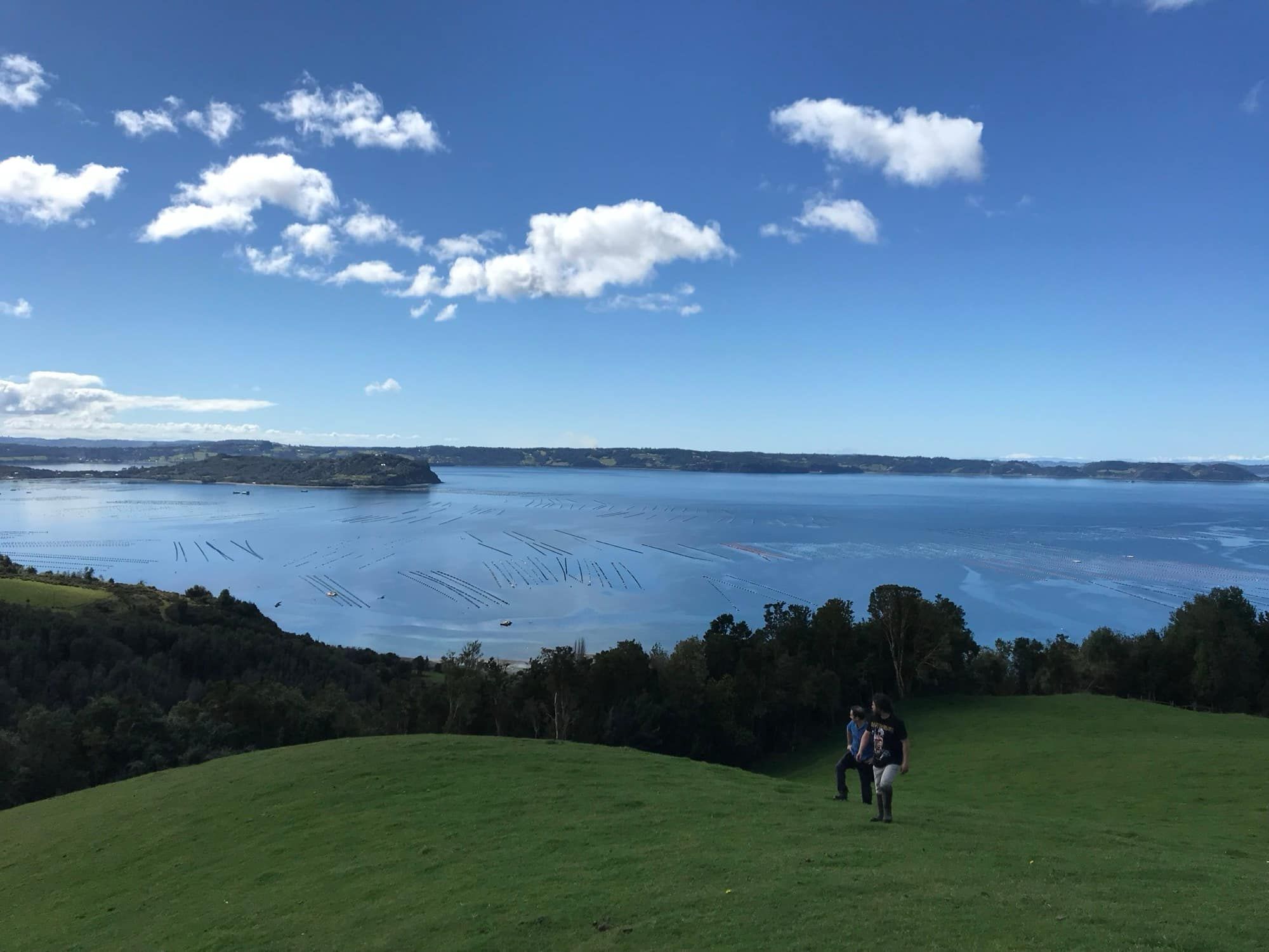 Panorámica del mar interior de Chiloé desde el terreno