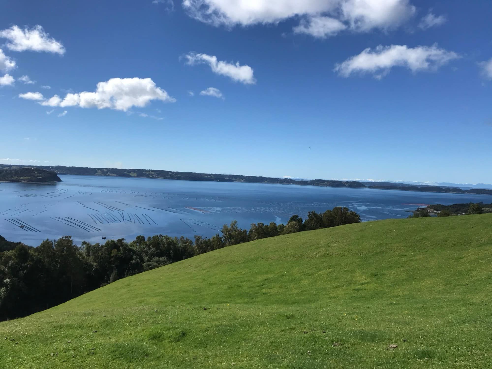El mar de Chiloé desde la ladera del proyecto