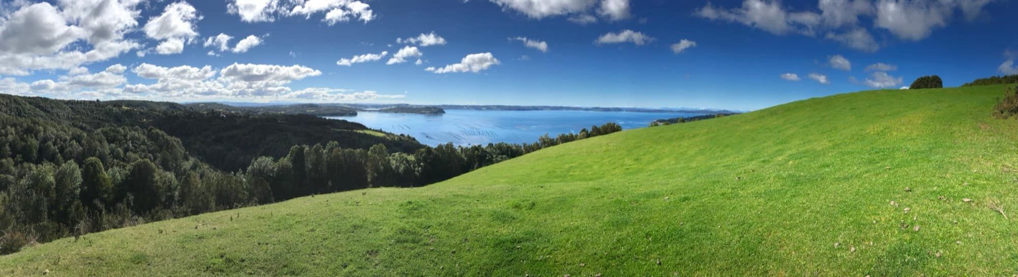 Pradera alta con vista al mar