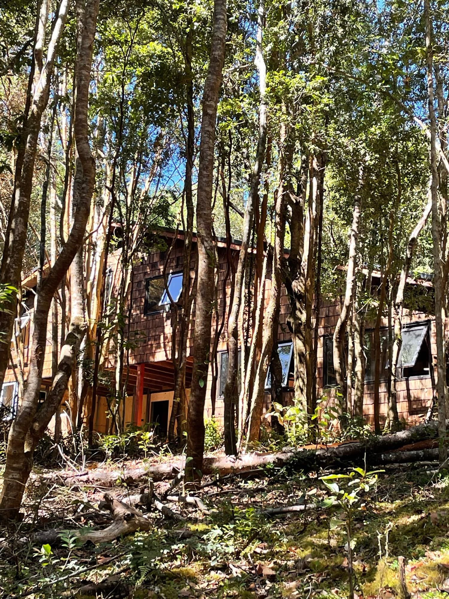 Obra temprana entre los árboles del terreno