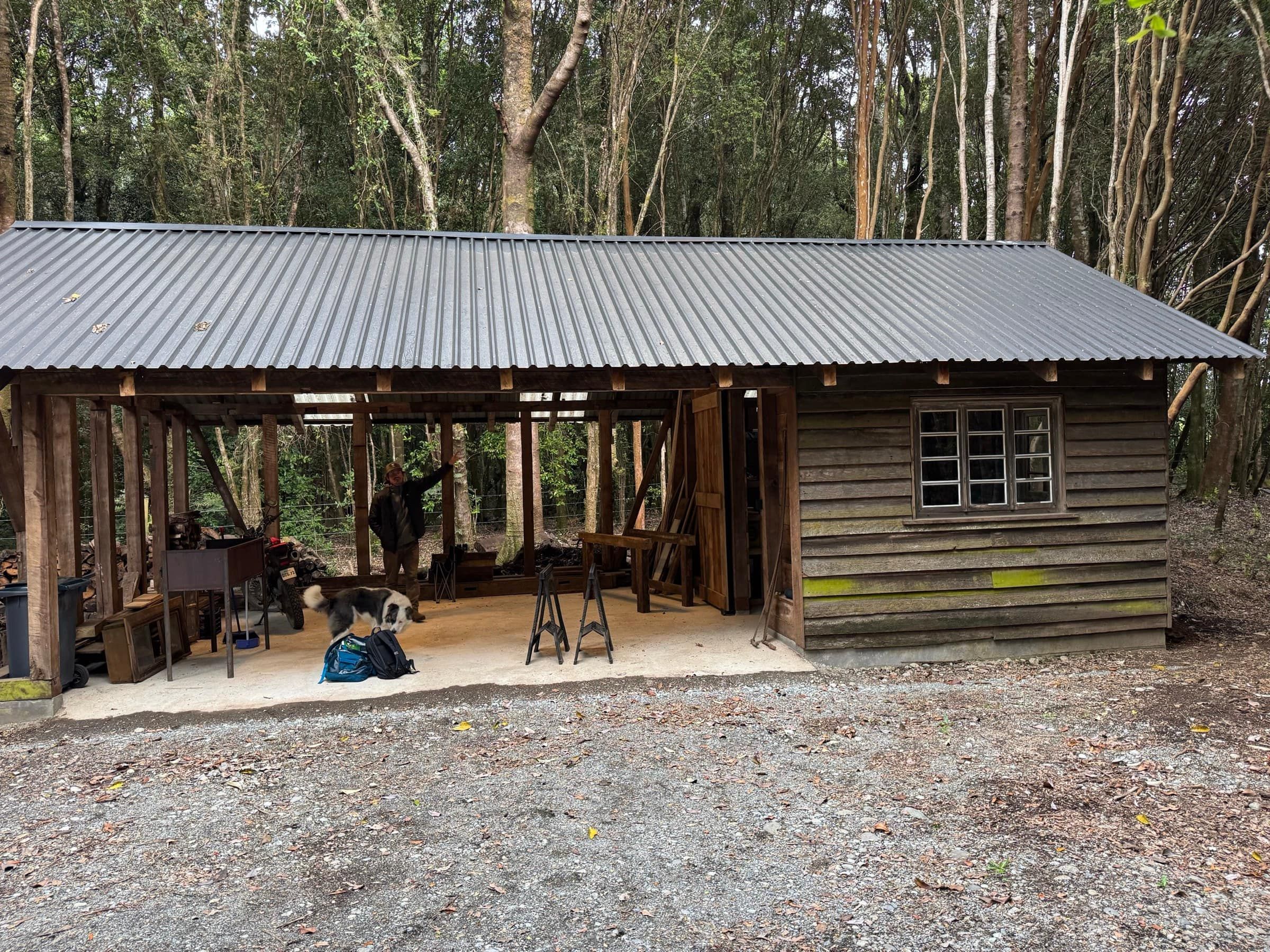 Estructura de madera del proyecto, abierta hacia el bosque
