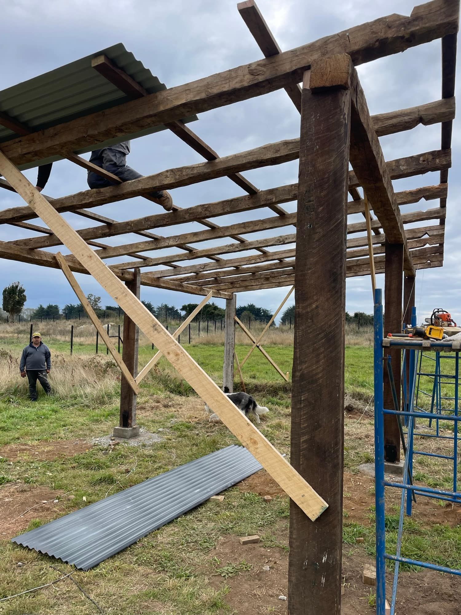 Marco estructural montado en obra
