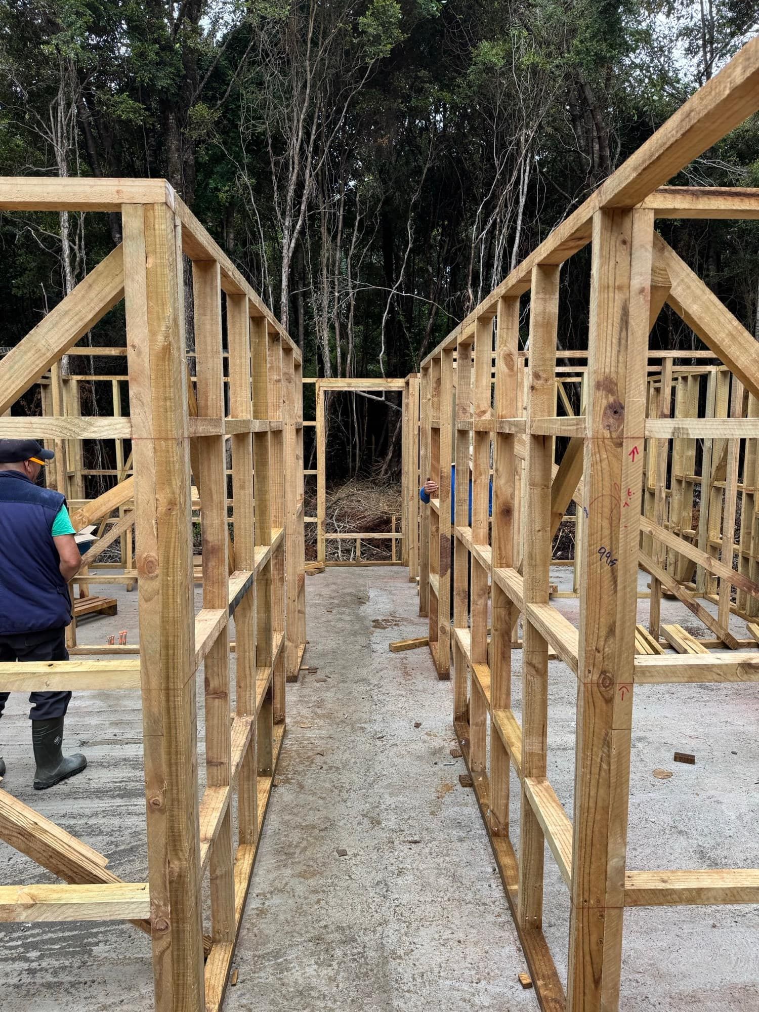 Tabiques estructurales de madera