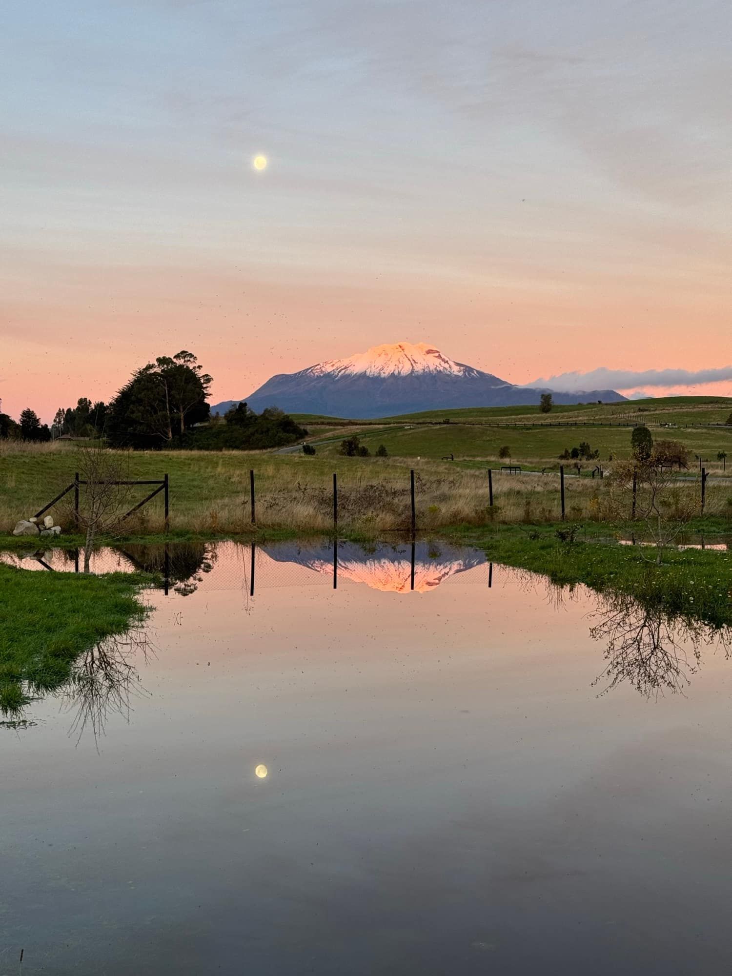 Amanecer con el volcán al fondo desde el terreno