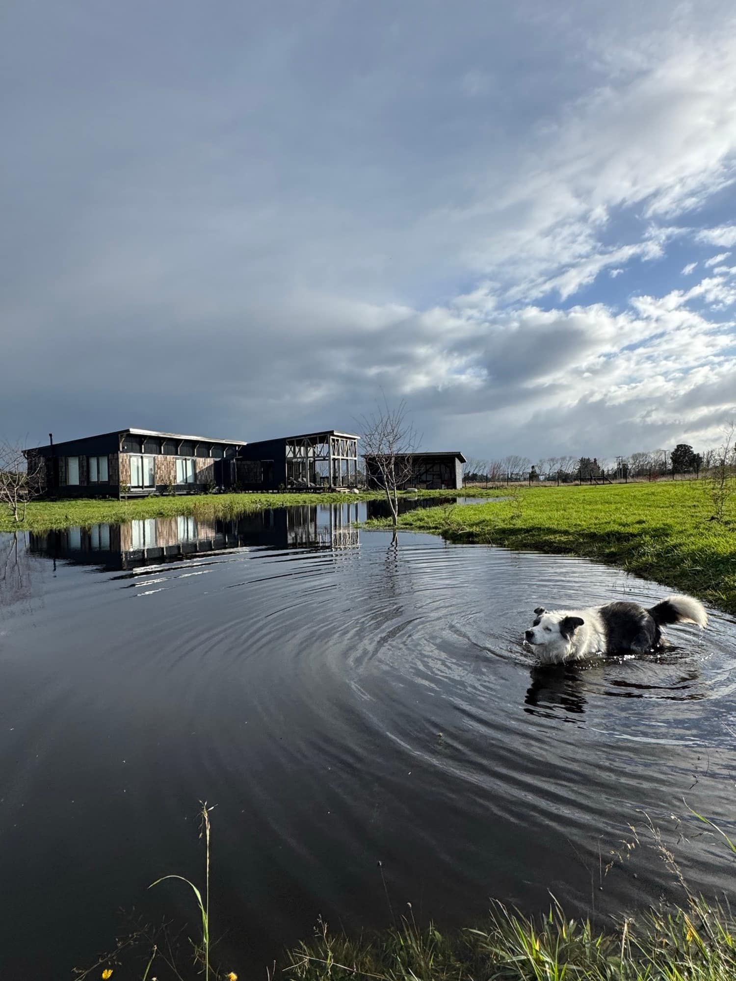 La pradera y su espejo de agua frente a la casa